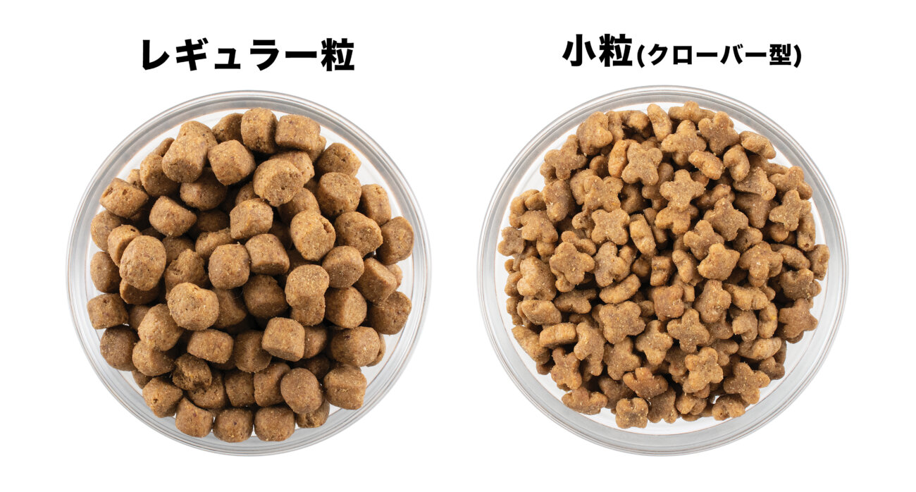 柴犬,フード,NOW FRESH,ナウフレッシュ