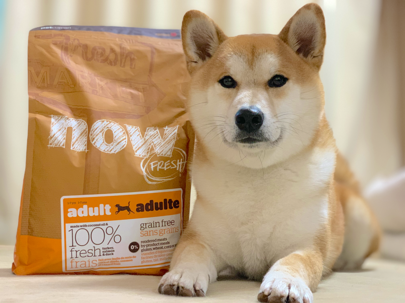 柴犬,フード,NOW FRESH,ナウフレッシュ