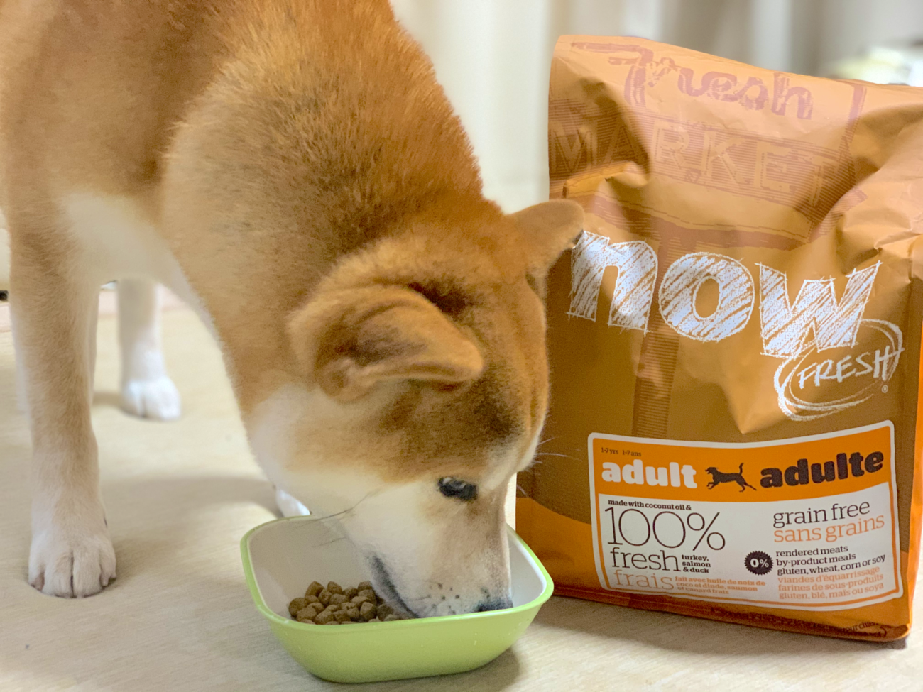 柴犬,フード,NOW FRESH,ナウフレッシュ