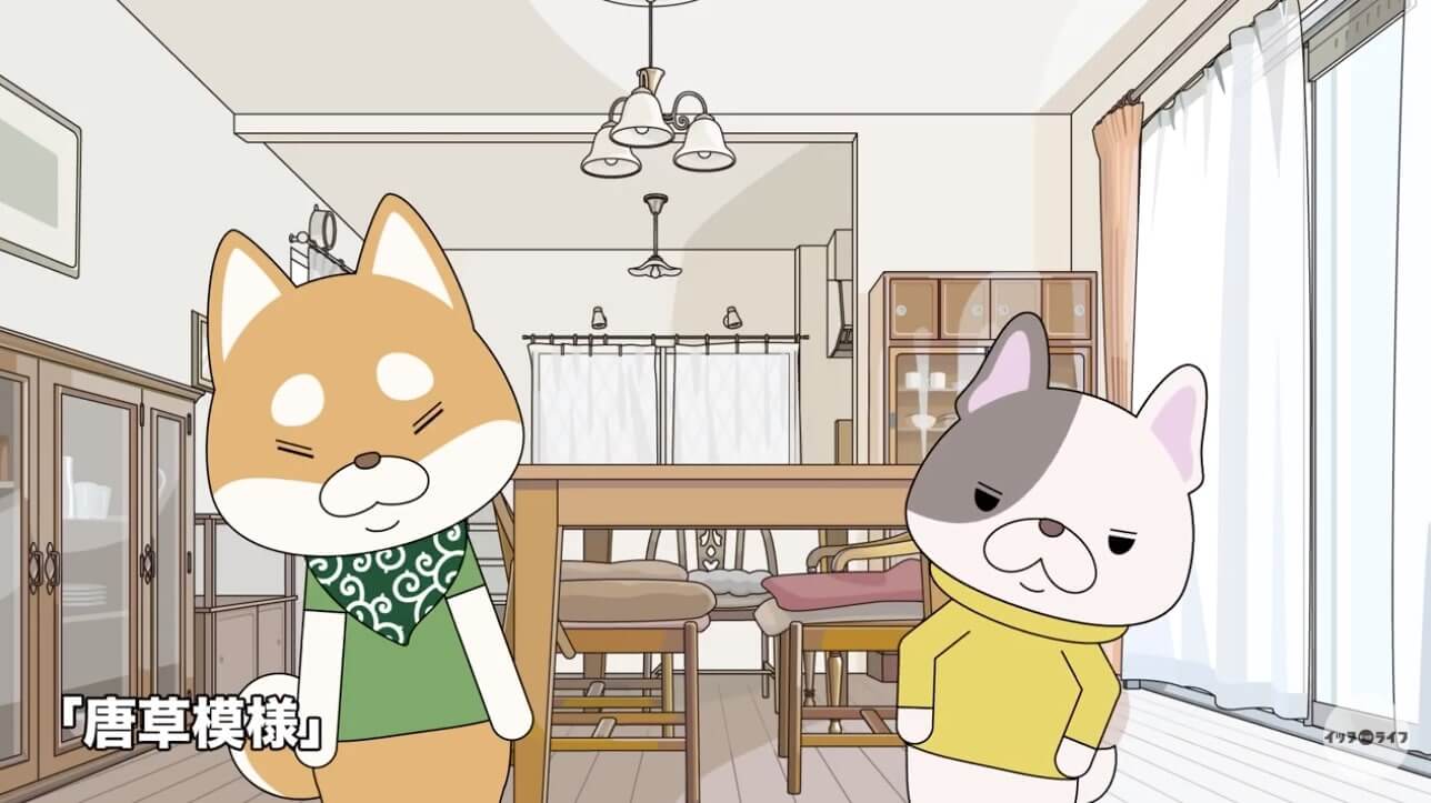 柴犬,動画,イッヌドットライフ