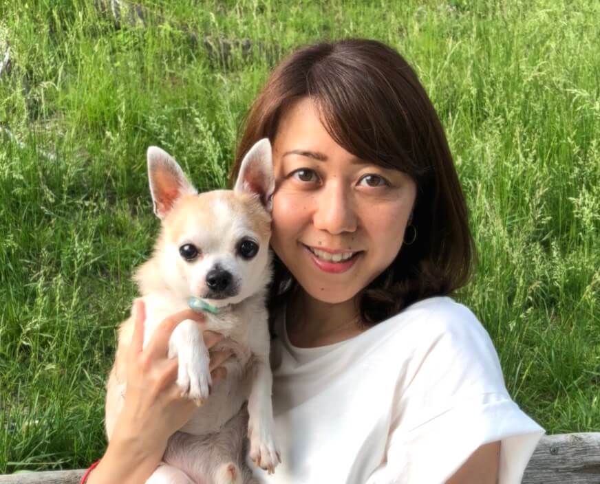 セラピスト&ドッグハイジニスト,チワワ