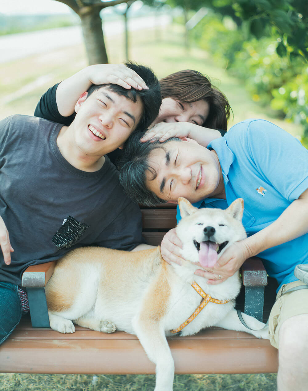 柴犬,柴犬ライフ,取材