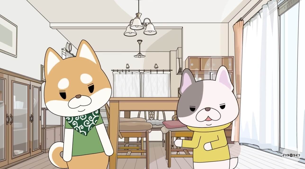 柴犬,動画,イッヌドットライフ
