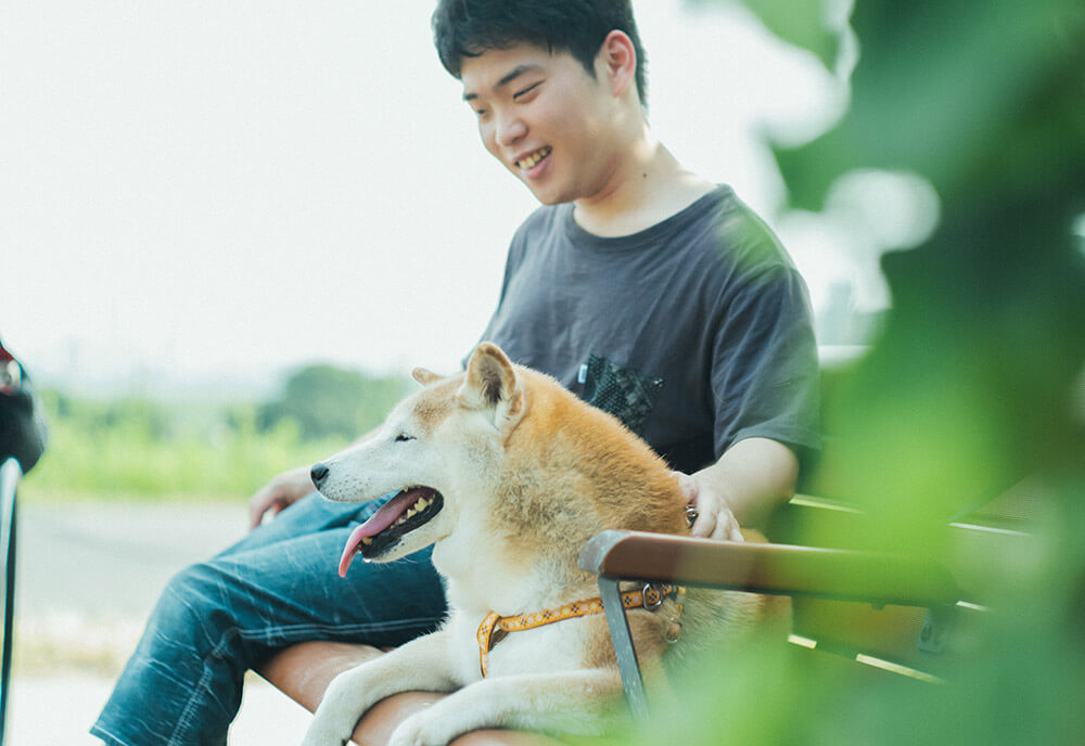 柴犬,柴犬ライフ,取材