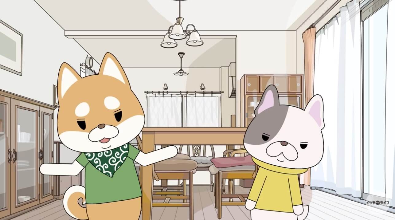 柴犬,動画,イッヌドットライフ