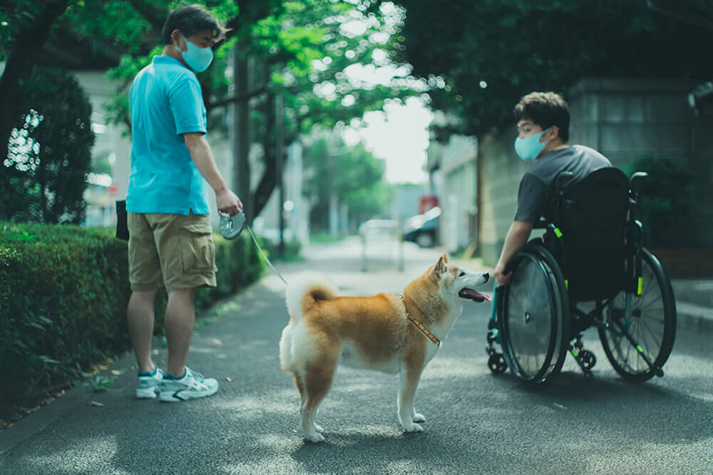 柴犬,柴犬ライフ,取材