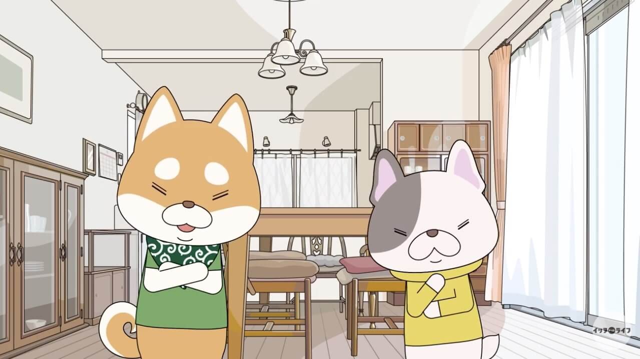 柴犬,動画,イッヌドットライフ