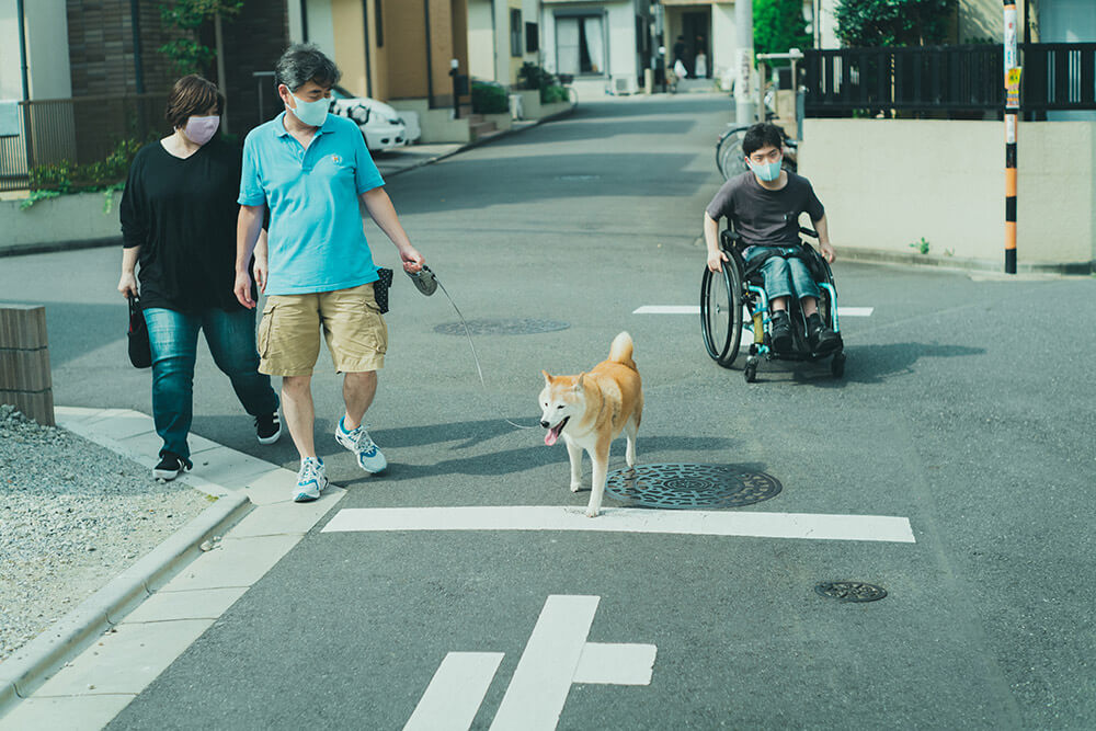 柴犬,柴犬ライフ,取材