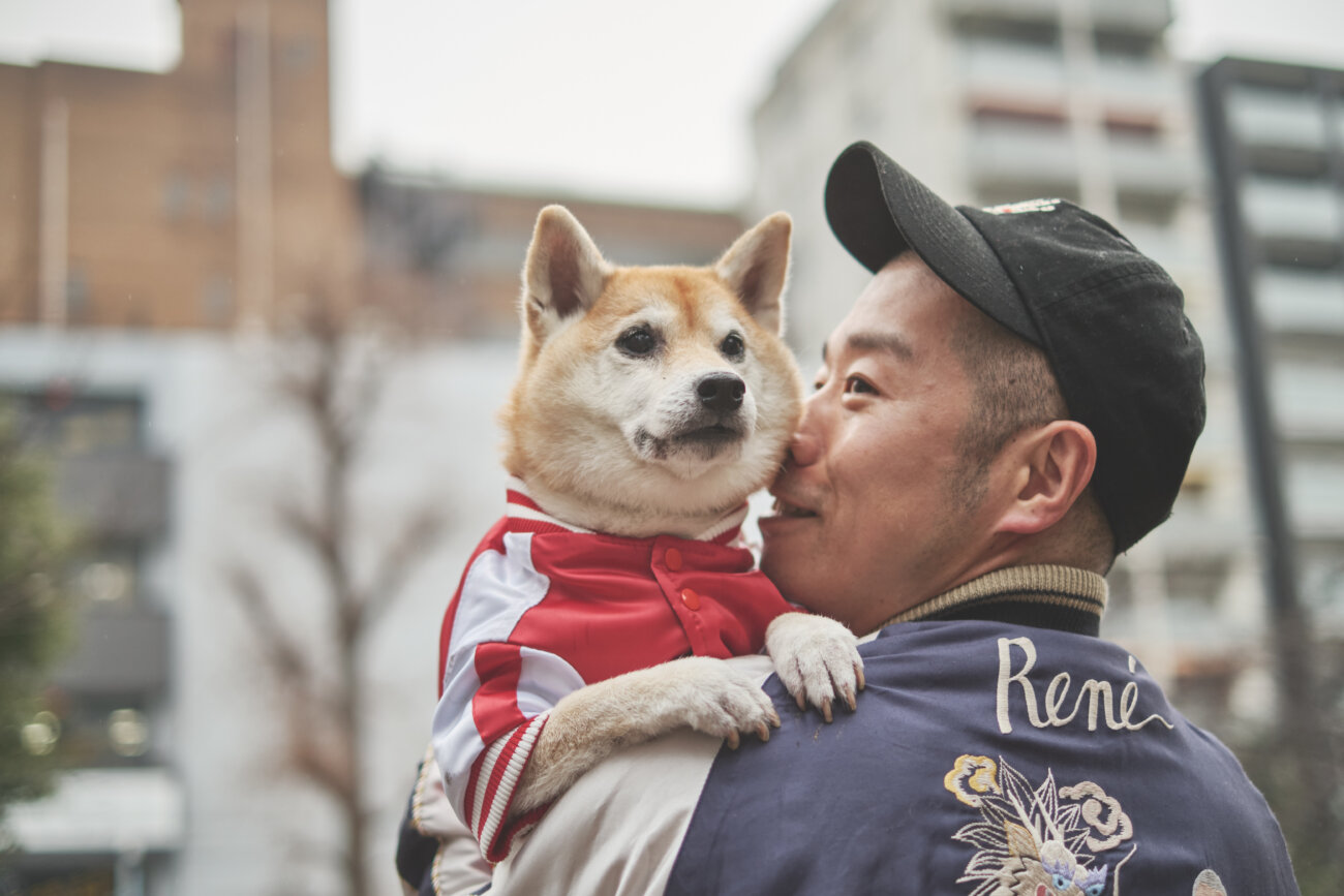 アキナ山名,柴犬,おまめ