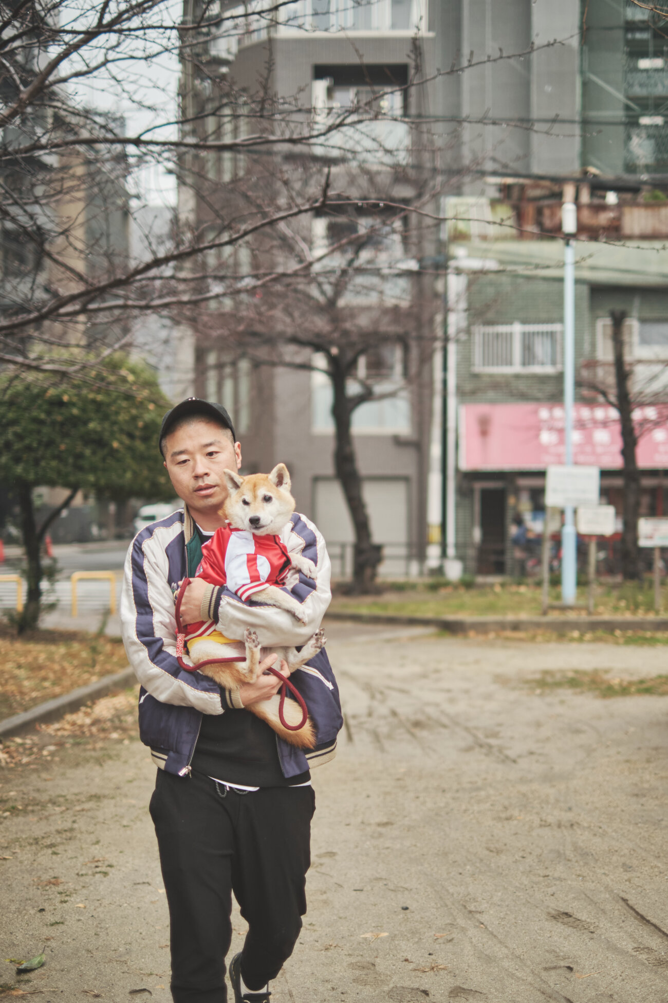 アキナ山名,柴犬,おまめ