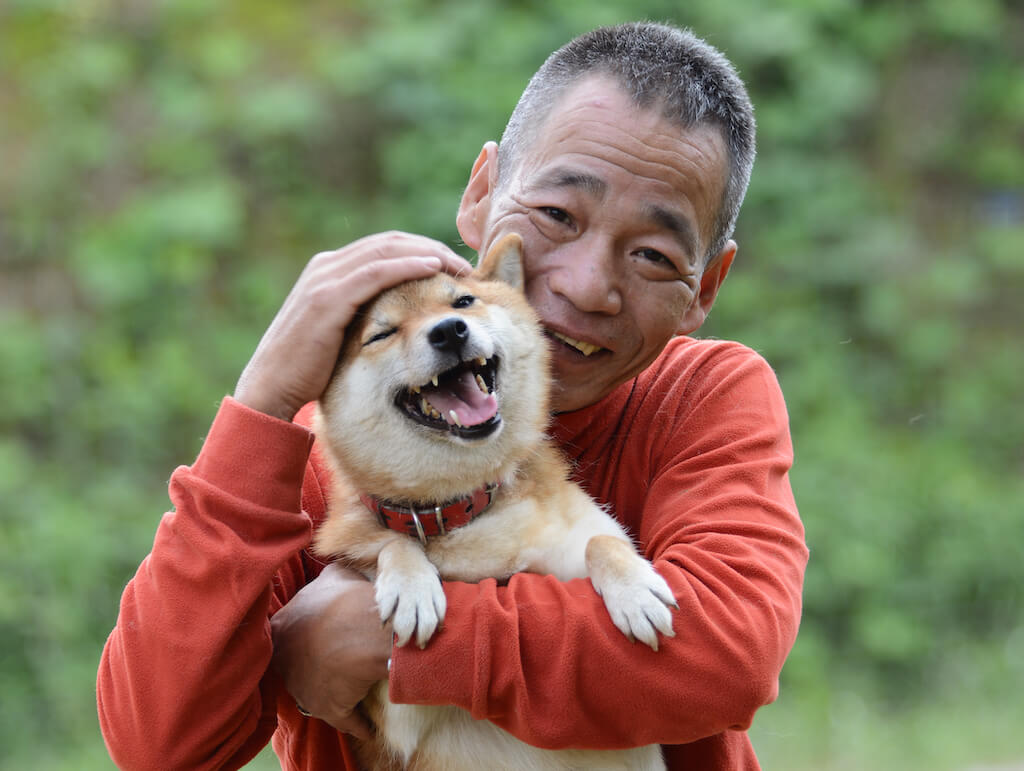 柴犬とポチパパ