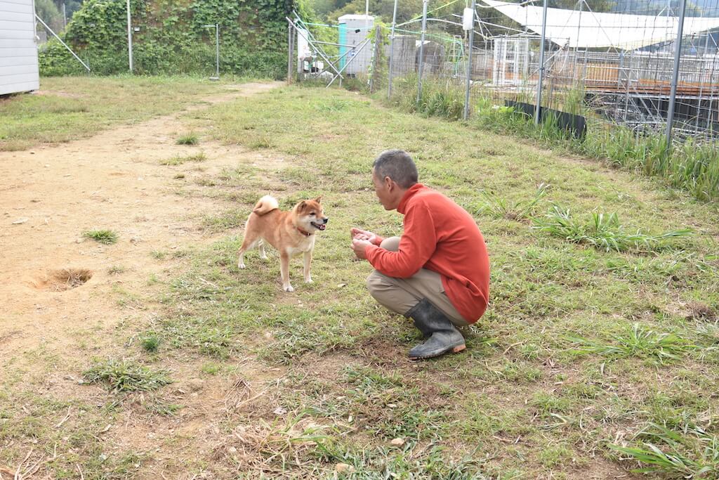 北村紋義さんことポチパパと柴犬