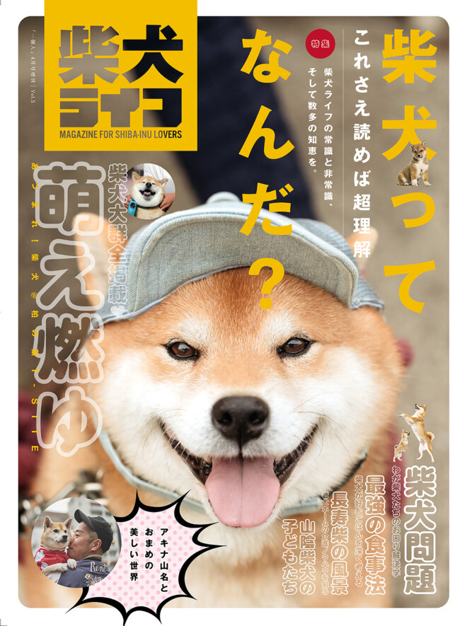 雑誌版『柴犬ライフ』vol.5