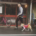 【連載】アキナ山名とおまめのラブい日々