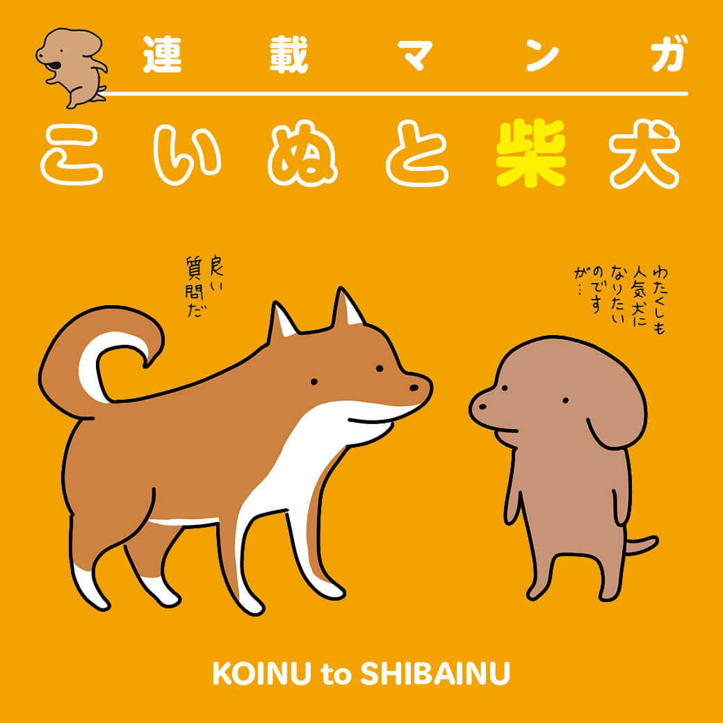 柴犬マンガ,小犬のこいぬ,うかうか