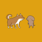 【マンガ連載】こいぬと柴犬