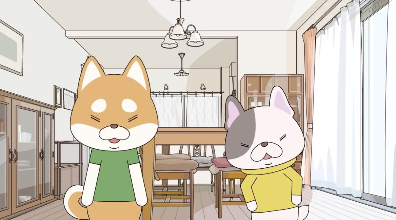 柴犬,動画,イッヌドットライフ