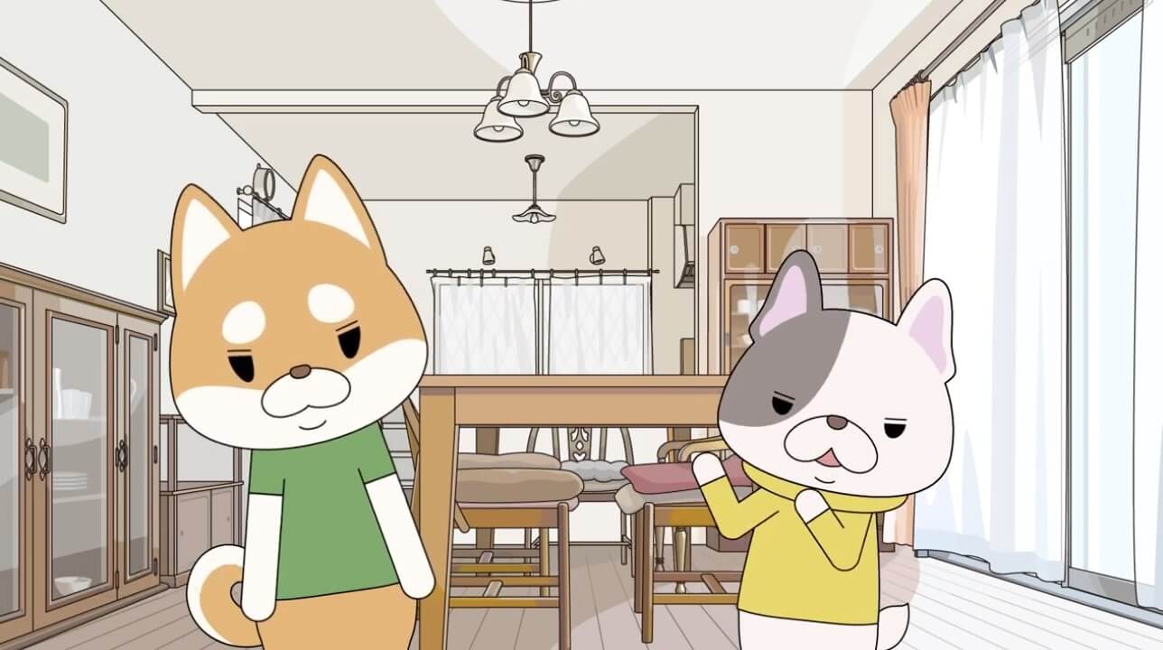 柴犬,動画,イッヌドットライフ