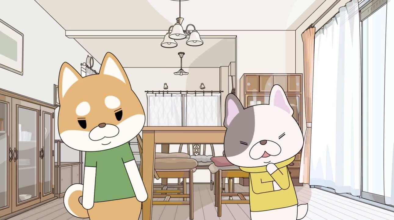 柴犬,動画,イッヌドットライフ