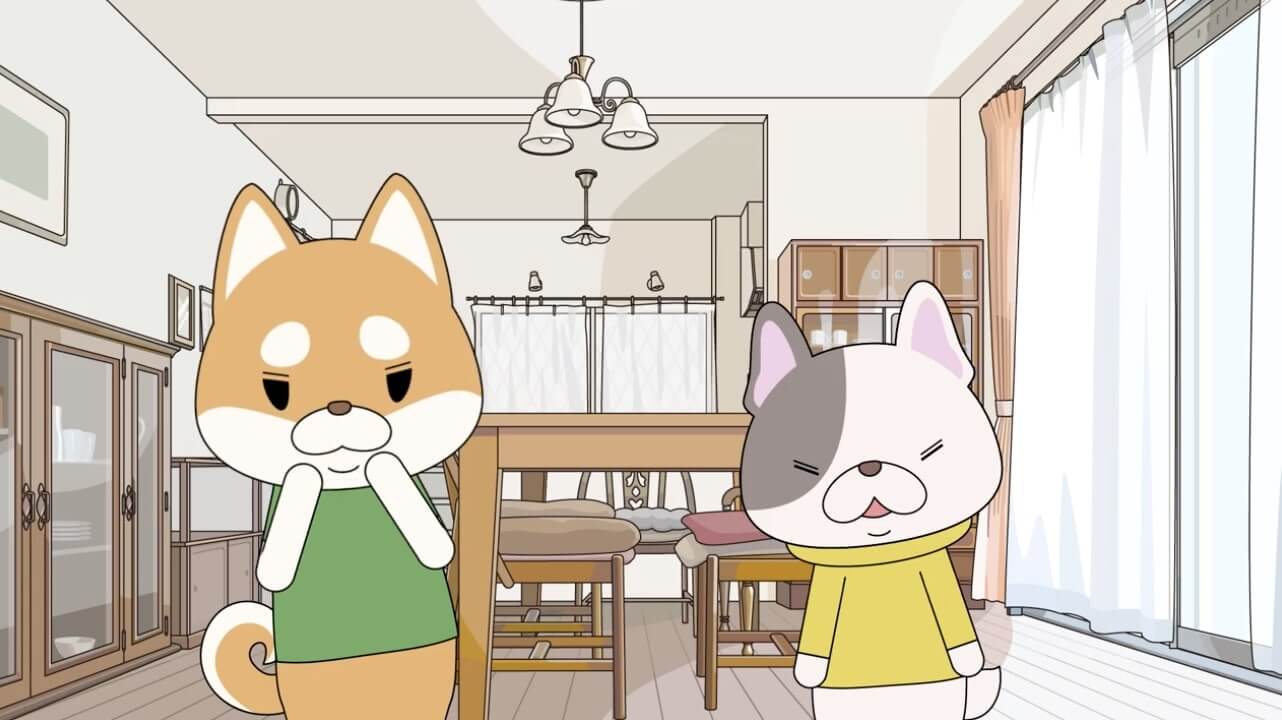 柴犬,動画,イッヌドットライフ