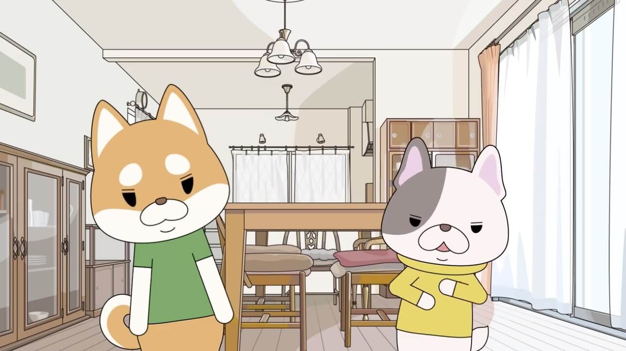 柴犬,動画,イッヌドットライフ