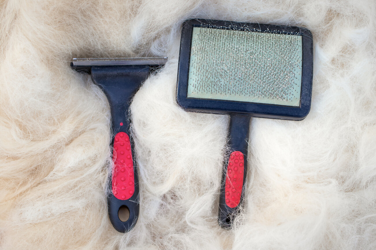 柴犬,ブラシ,ブラッシング,ペットティーザー