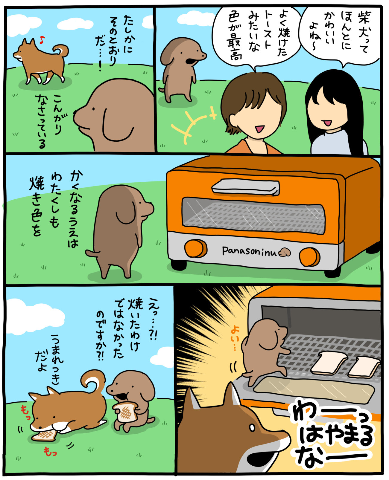 こいぬと柴犬,うかうか,漫画