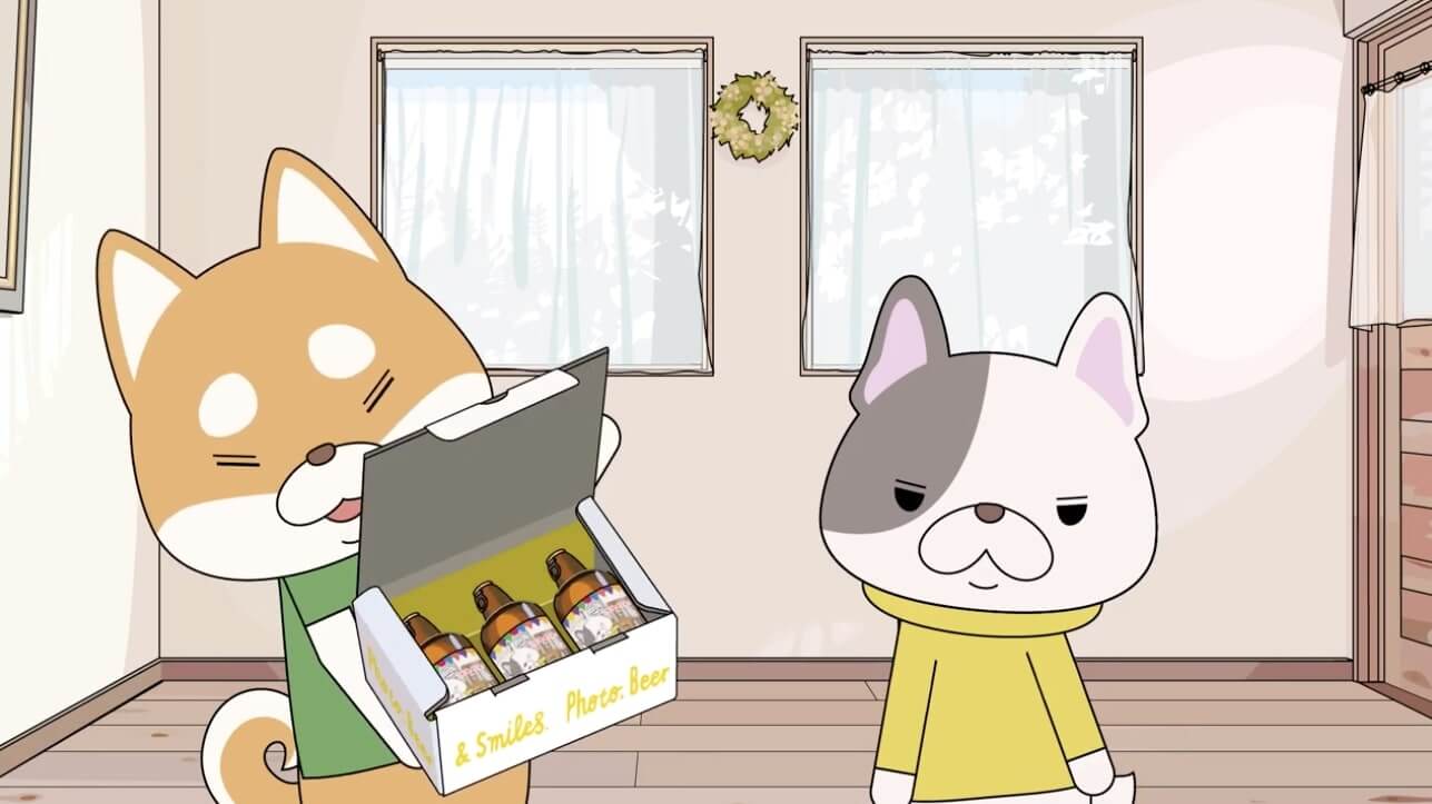 柴犬,動画,イッヌドットライフ,うちの子記念日