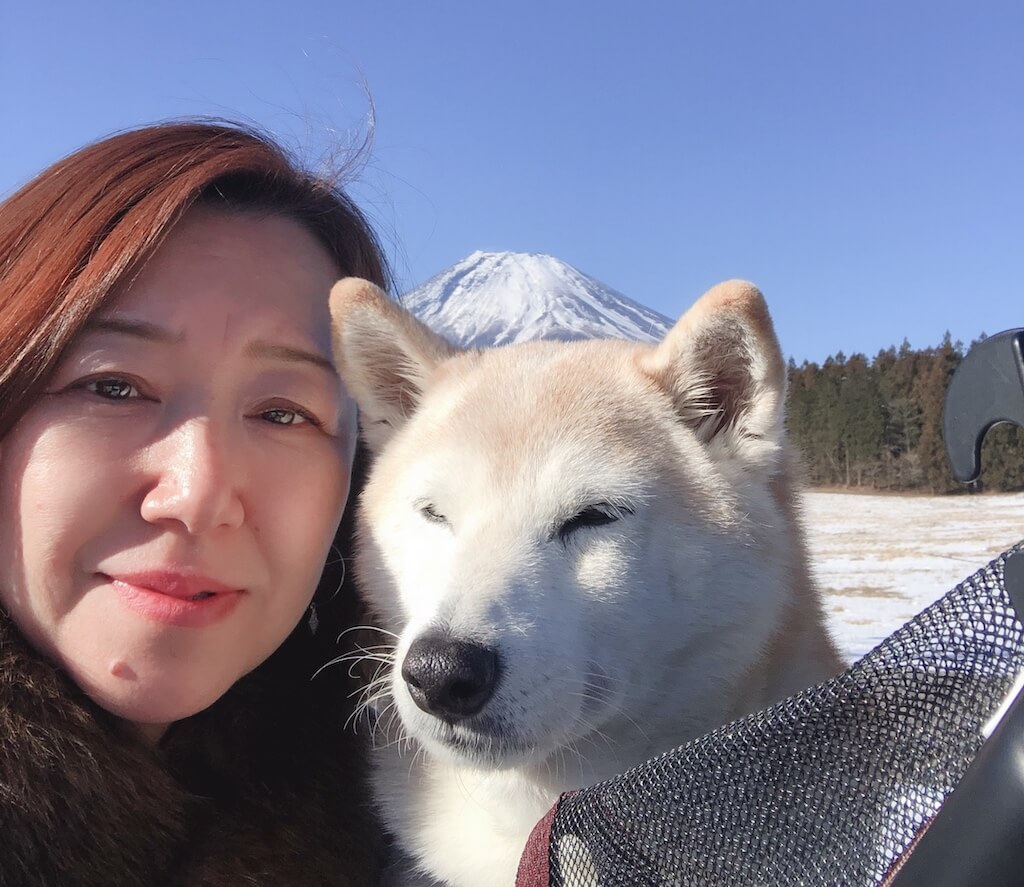 柴犬とその家族