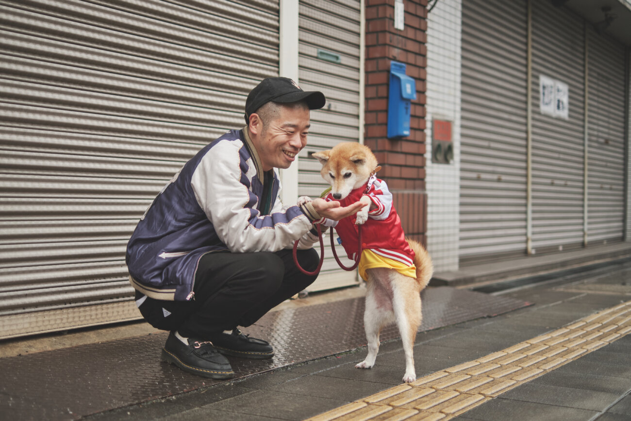 柴犬ライフ,アキナ山名,おまめ