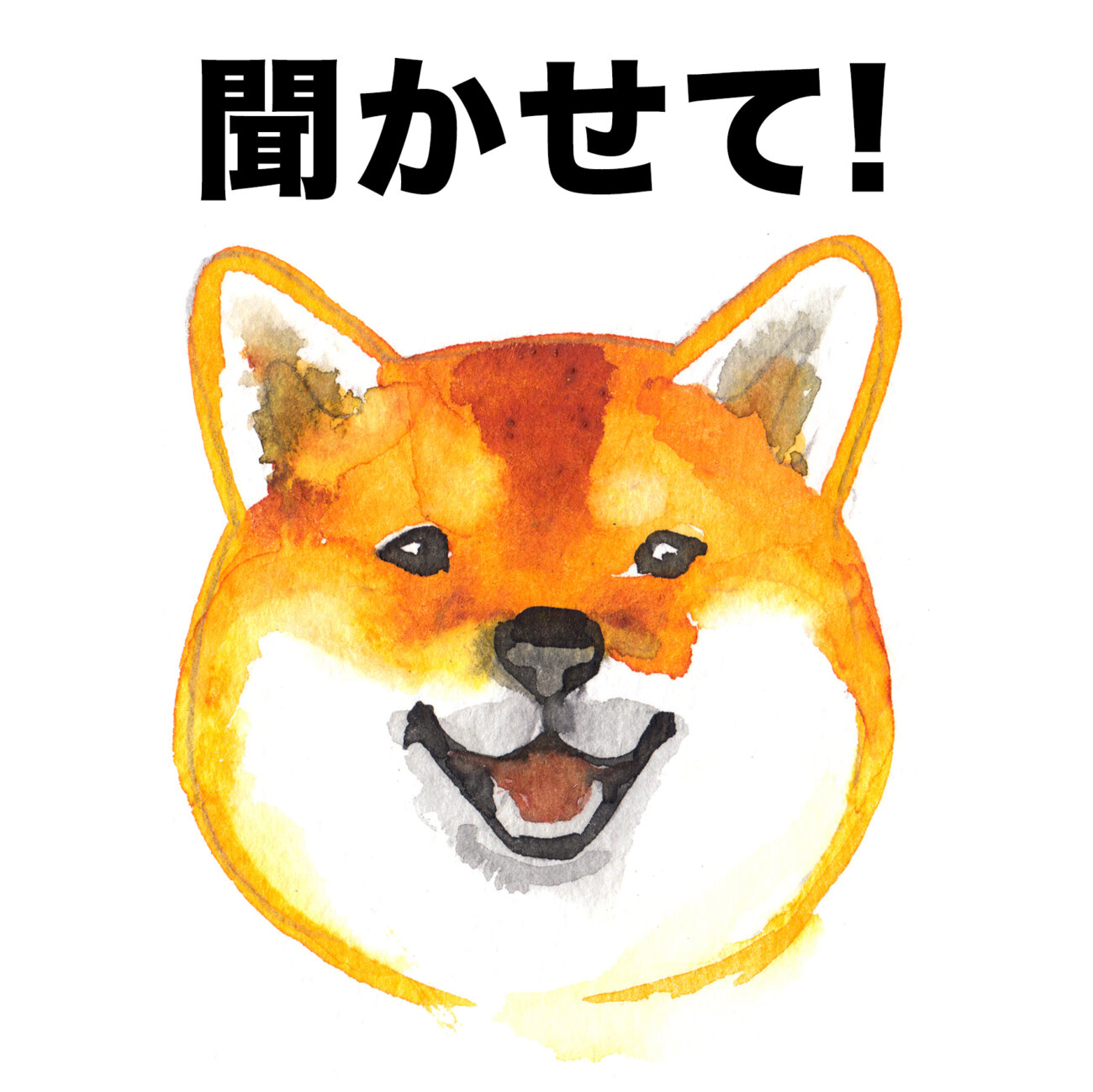 柴犬,サプリ,アンチノール