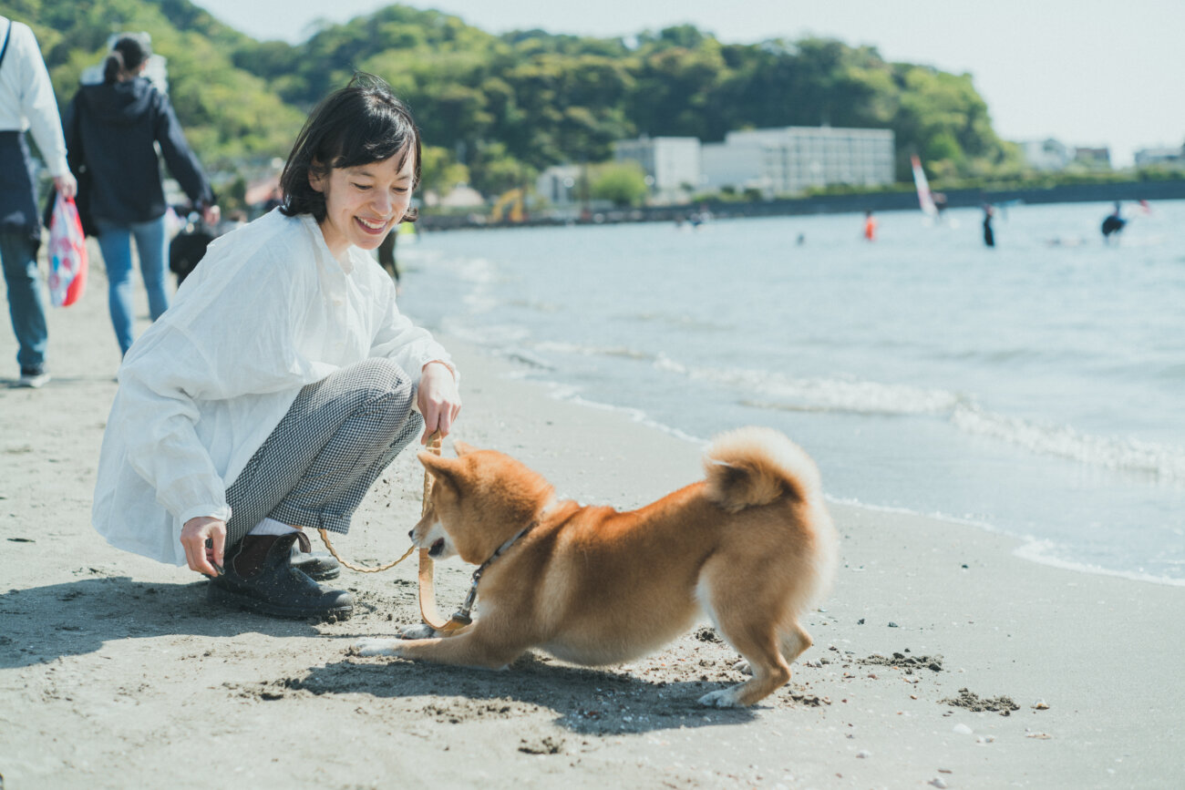 柴犬,モデル,kiki,鎌倉