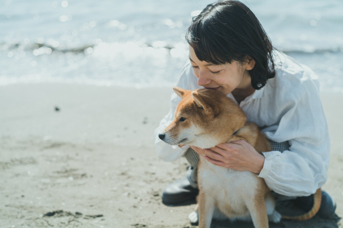 柴犬,モデル,kiki,鎌倉