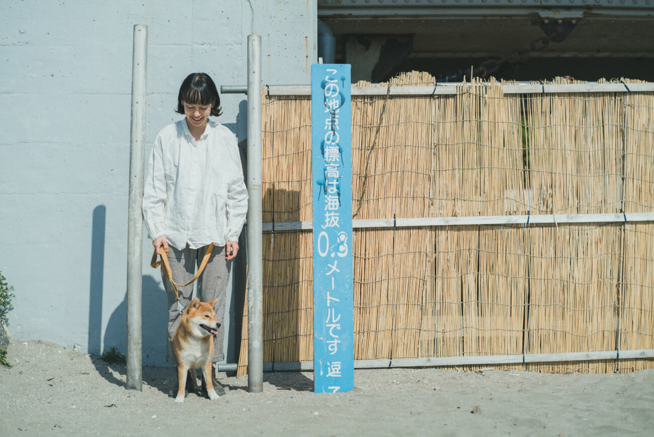 柴犬,モデル,kiki,鎌倉