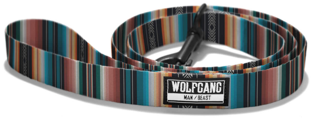 柴犬,ウルフギャング,リード,首輪,ハーネス