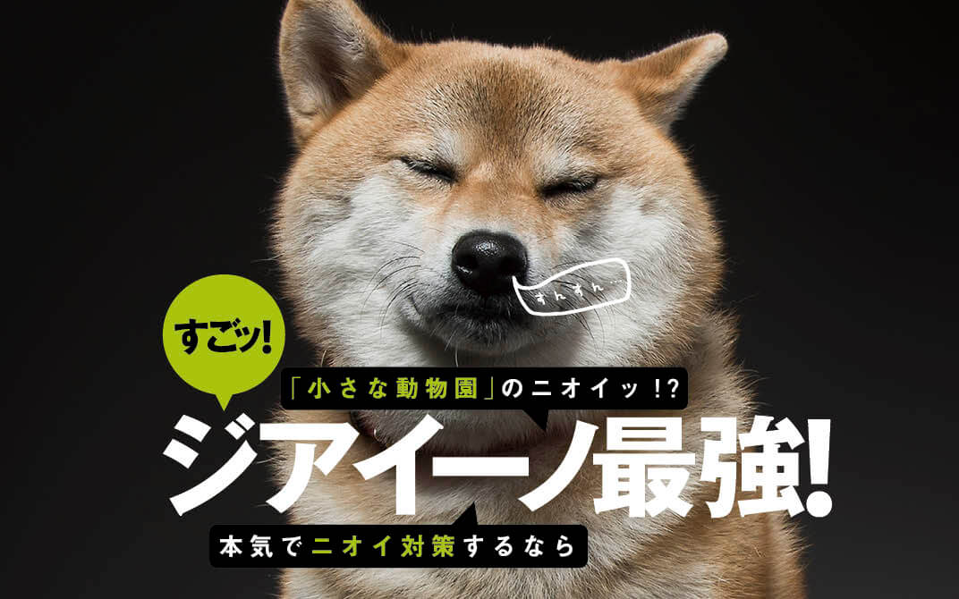 柴犬,パナソニック,ジアイーノ