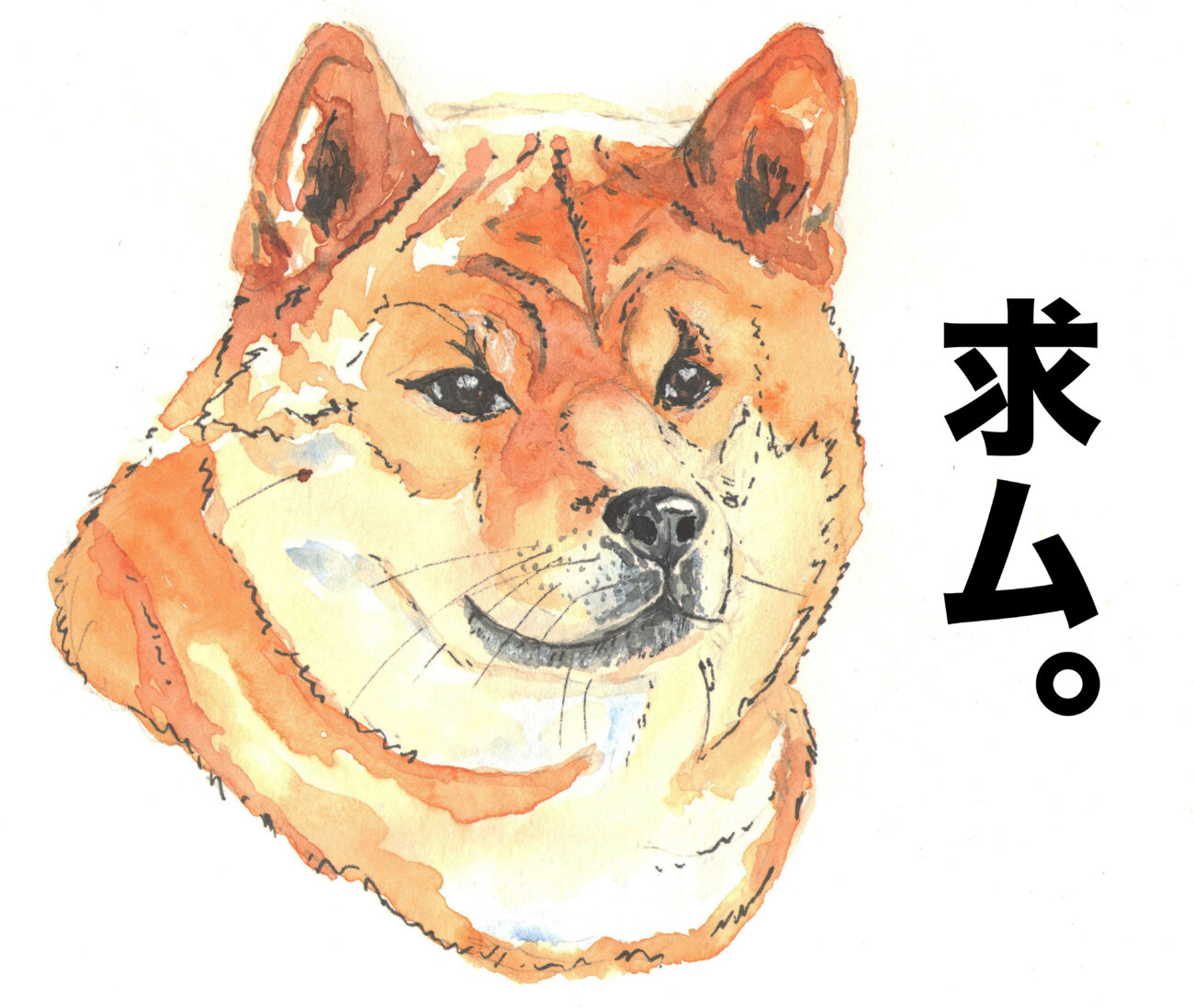 柴犬,パナソニック,ジアイーノ