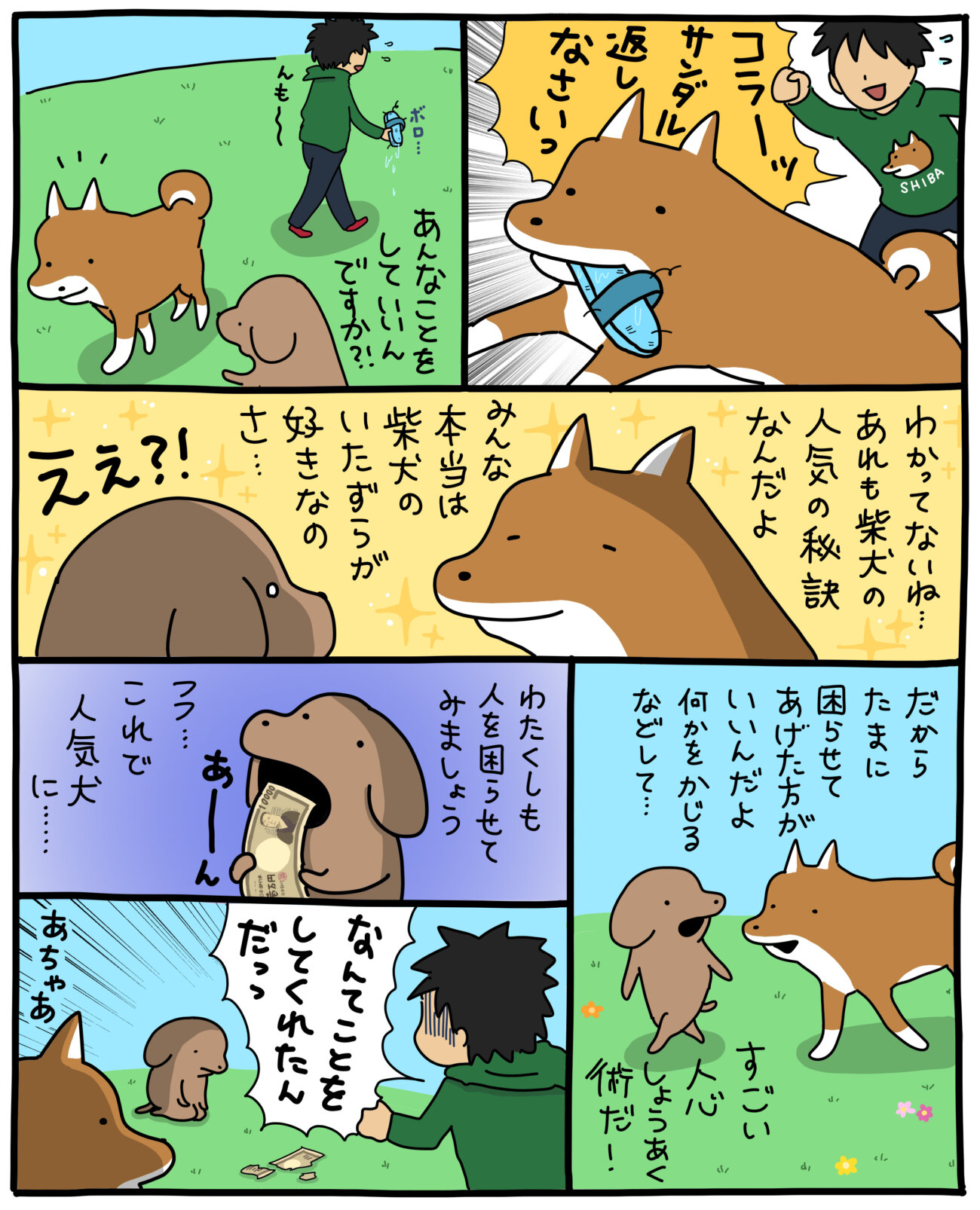 柴犬,こいぬ,うかうか,マンガ