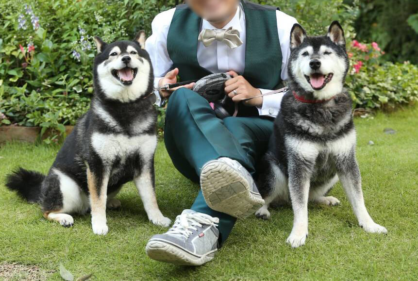 柴犬とオーナー