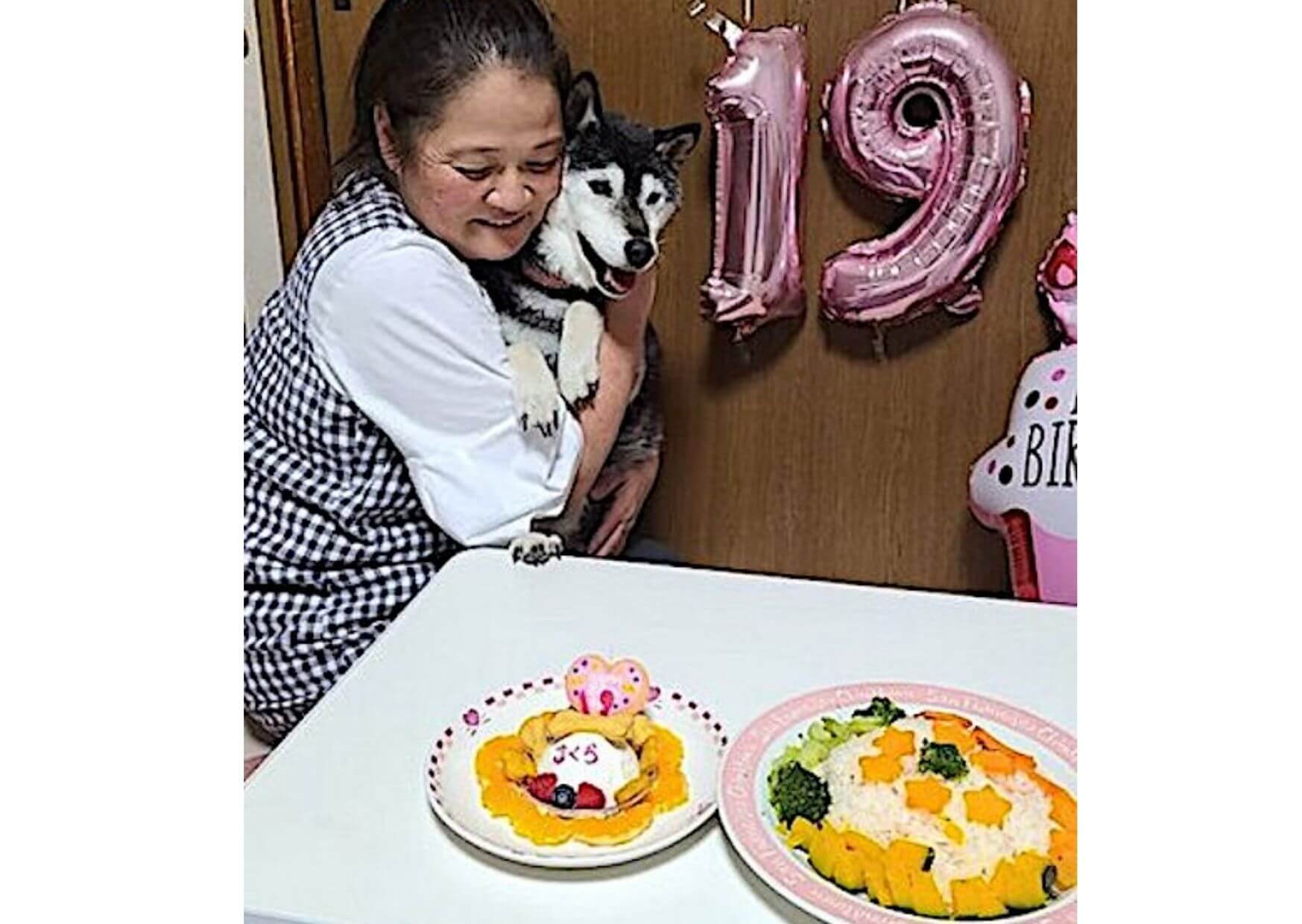 柴犬とオーナー