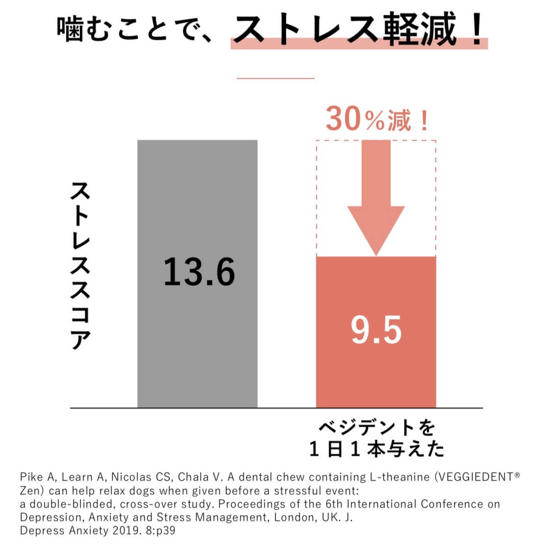 柴犬,ビルバック,ベジデントZEN,デンタルガム