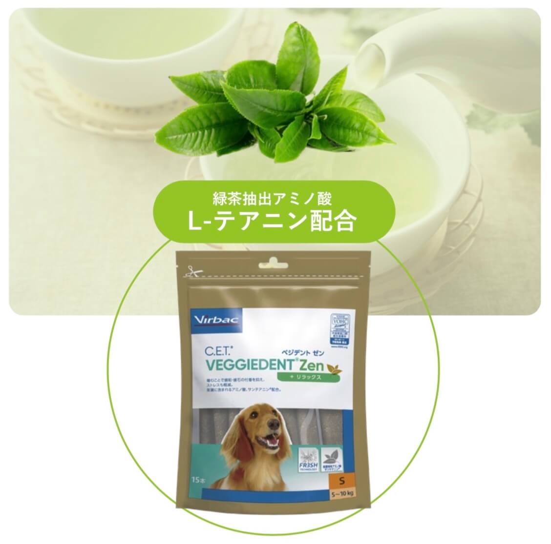 柴犬,ビルバック,ベジデントZEN,デンタルガム