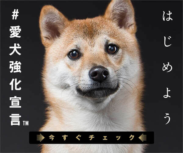柴犬,Ta-Ta,タータ