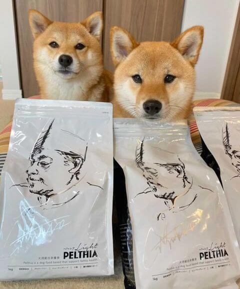 柴犬,PELTHIA(ペルシア),フード
