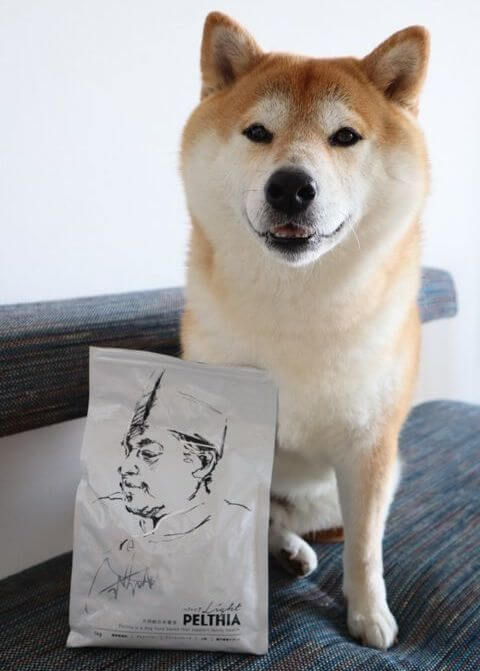 柴犬,PELTHIA(ペルシア),フード
