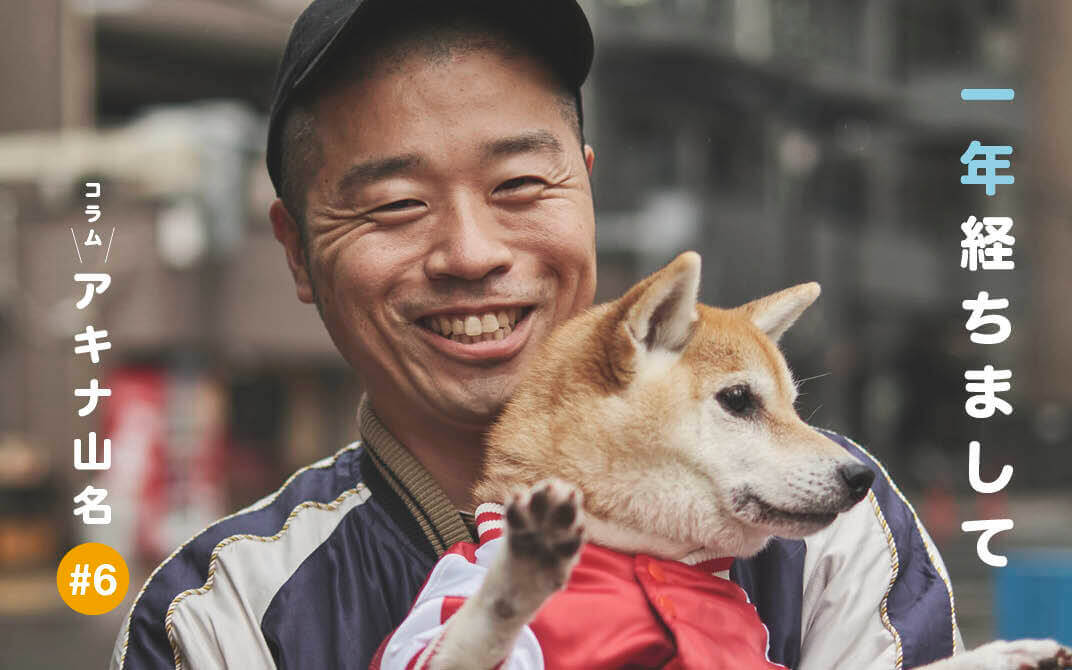柴犬,アキナ山名,おまめ