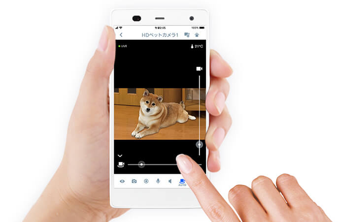 柴犬,パナソニック,hdペットカメラ