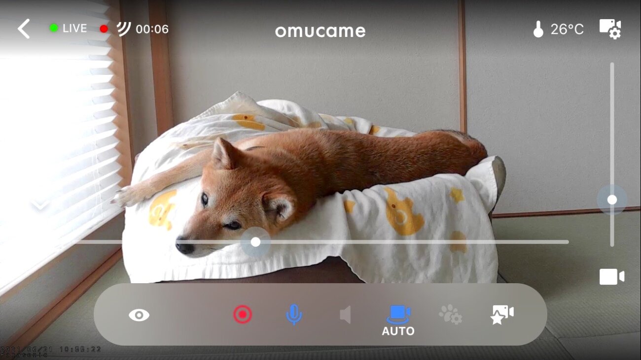 柴犬.パナソニック,HDペットカメラ