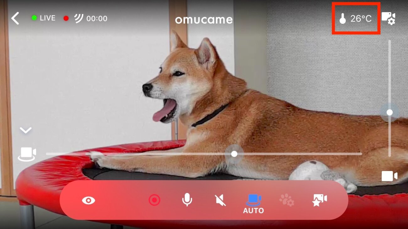 柴犬.パナソニック,HDペットカメラ