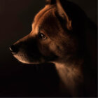 【特集】新・家術〜進化型家電と、新しい愛情物語